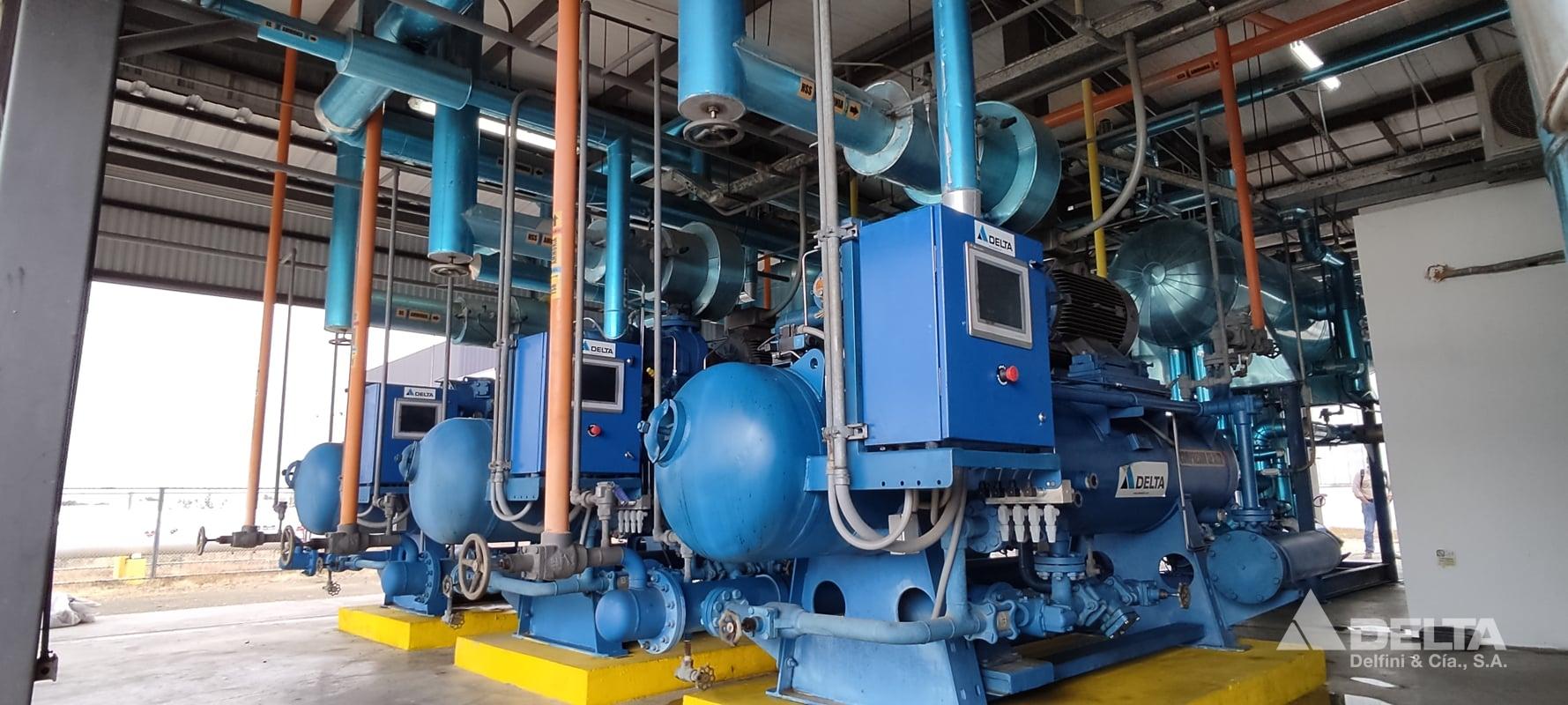 IMG_20220530_152351-1